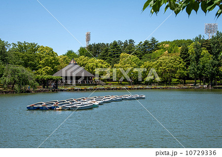 千葉県千葉市の千葉公園 10729336