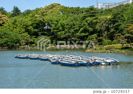 千葉公園 千葉公園 10729337