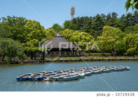 千葉県千葉市の千葉公園 10729338