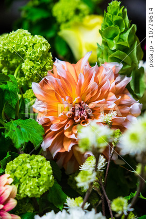 フラワーアレンジ　 10729614