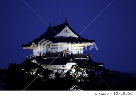 夜の小田原城 10729650