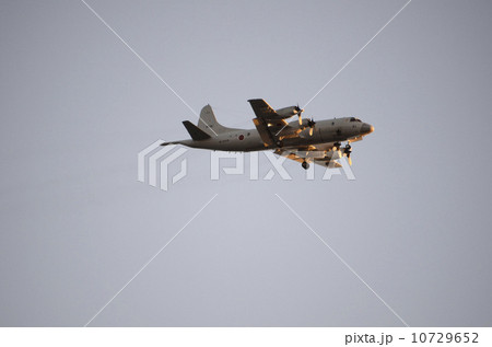 夕日に輝く自衛隊機 10729652