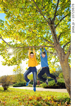 boys hanging from branch of tree 10729676