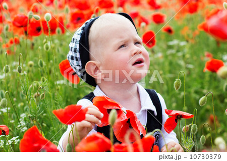 Cute little boy in poppy field 10730379