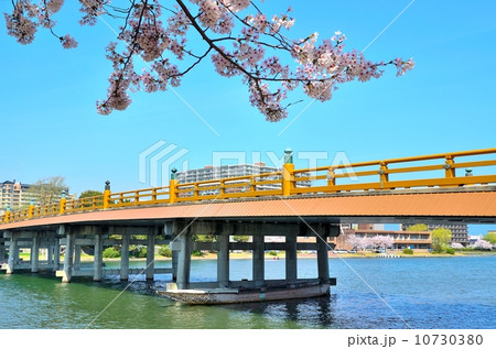 瀬田の唐橋 10730380