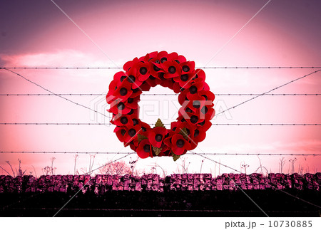 Background poppy WW1 barbed wire and sandbags world war Background poppy WW1 barbed wire and sandbags world war 10730885
