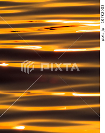 湖面に広がる緩やかな金色の光 10732003