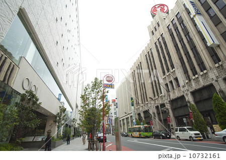 新宿通り 10732161