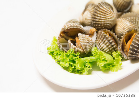 Blood Cockle 10735338