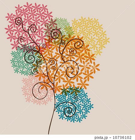 Twirl transparency blossom 10736102