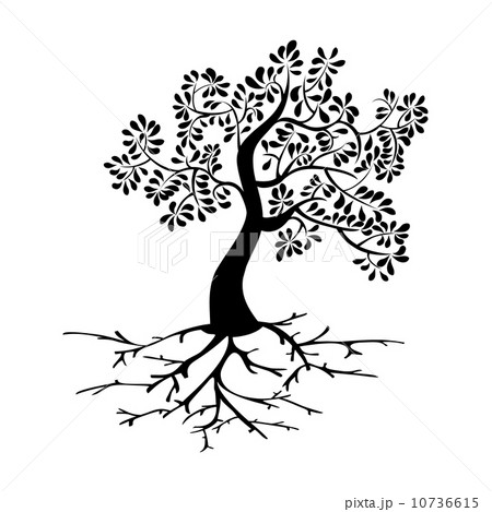 Black tree with roots silhouette Black tree with roots silhouette 10736615
