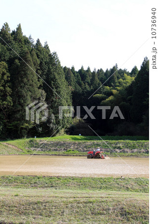 田植え 10736940