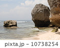 ウルワツ 10738254