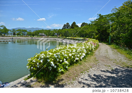 東山湖フィッシングエリア（静岡県御殿場市東山） 10738428