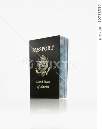 Passport Passport 10738550