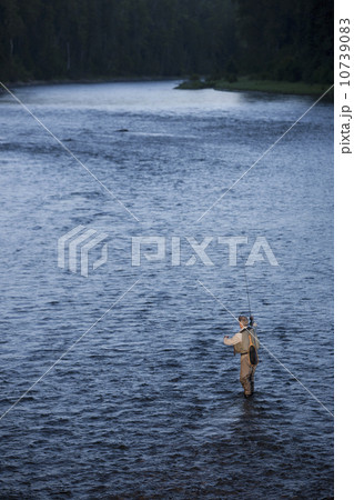 Canada, British Columbia, Fernie, Man fly fishing in river Canada, British Columbia, Fernie, Man fly fishing in river 10739083