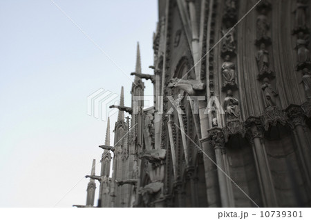 France, Paris, Notre Dame exterior 10739301