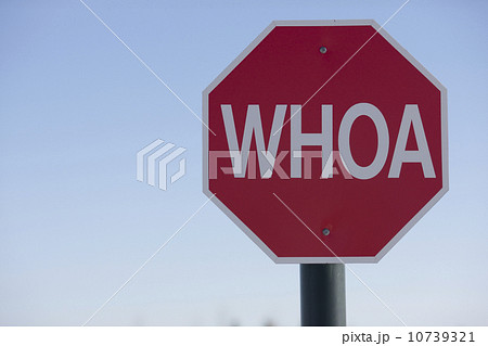 Stop sign with the word WHOA on it 10739321