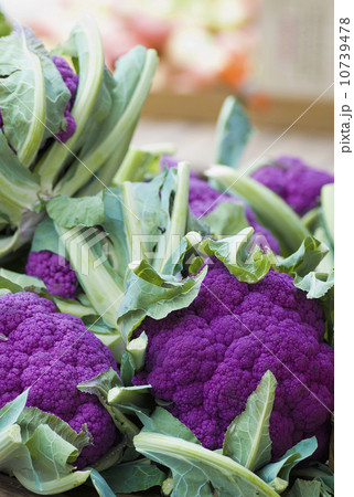 Purple cauliflower Purple cauliflower 10739478