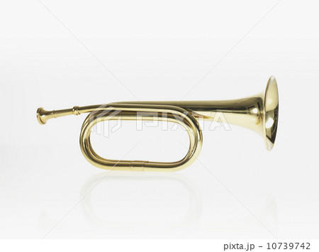 Bugle 10739742
