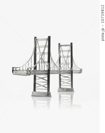 Suspension bridge 10739812