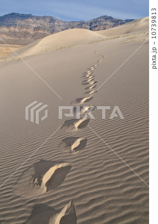 USA, California, Footprints of desert dune 10739813