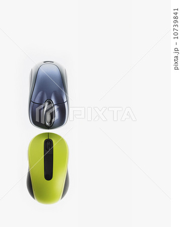 Computer mice 10739841