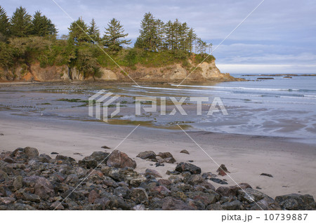 USA, Oregon, Sunset Bay, coastline 10739887