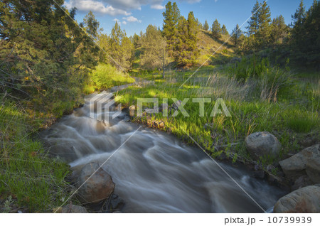 USA, Oregon, Kimberly, Scenic view of Rushing Creek 10739939