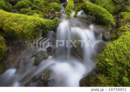 USA, Oregon, Mount Jefferson Wilderness, Scenic waterfall 10739952