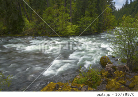 USA, Oregon, Scenic view of Santiam River 10739970