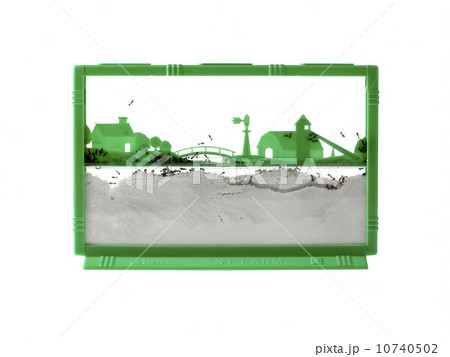 Studio shot of antquarium Studio shot of antquarium 10740502