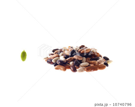 Studio shot of Mixed Seeds on white background 10740796