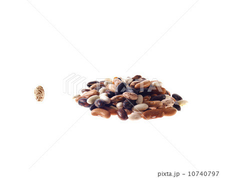 Studio shot of Mixed Seeds on white background Studio shot of Mixed Seeds on white background 10740797