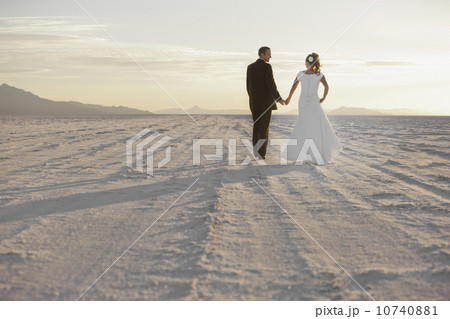 Bride and groom holding hands in desert 10740881