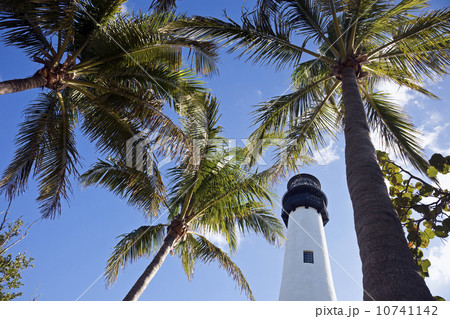 USA, Florida, Key Biscayne, Lighthouse with palm trees USA, Florida, Key Biscayne, Lighthouse with palm trees 10741142