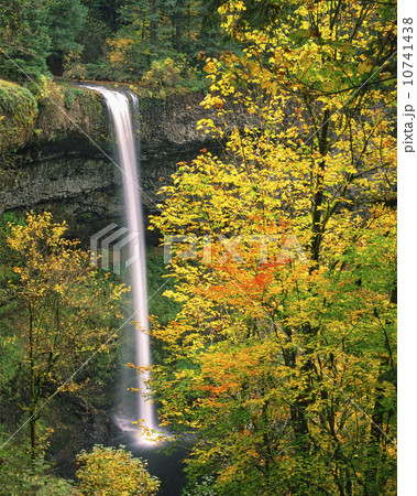 USA, Oregon, Silver Falls USA, Oregon, Silver Falls 10741438
