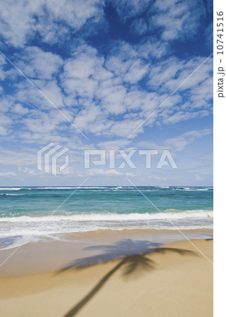 Caribbean beach 10741516