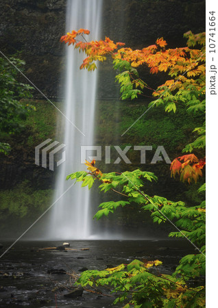 USA, Oregon, Marion County, South Falls 10741664