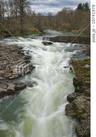 USA, Oregon, Linn County, Thomas Creek USA, Oregon, Linn County, Thomas Creek 10741979