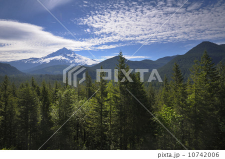 USA, Oregon, Multnomah County, Landscape with Mount Hood 10742006