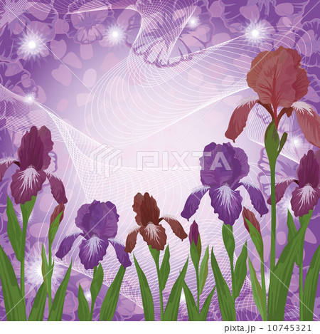 Flowers iris and ipomoea contours 10745321