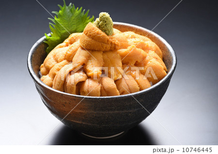 うに丼 10746445