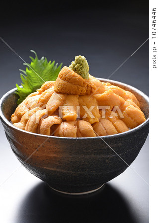 うに丼 うに丼 10746446