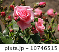 ジーンブーナー 10746515