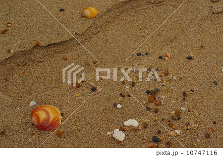 Coast wallpaper 10747116