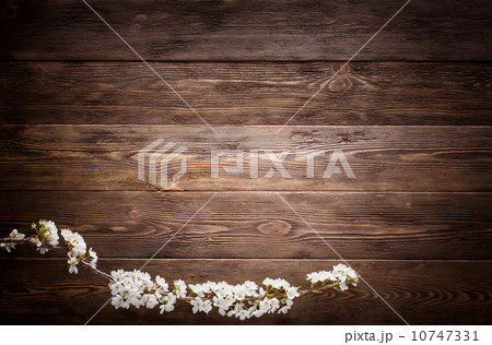 Summer Flowers on wood texture background 10747331