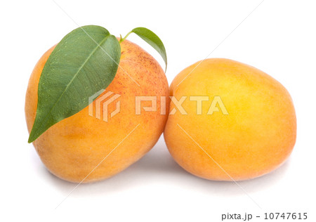 apricot 10747615