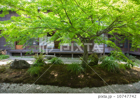 新緑の長府毛利邸 新緑の長府毛利邸 10747742