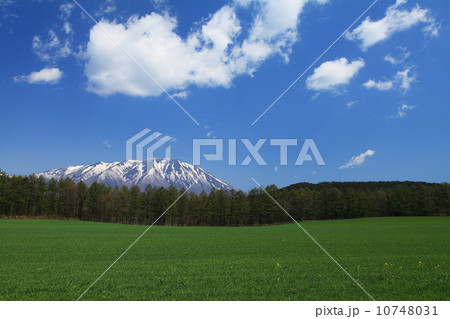 小岩井農場の春 10748031